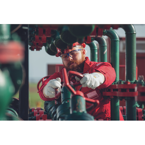 PALLIDA rokavice-blister - slika 3