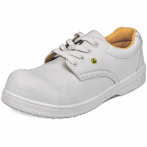 RAVEN ESD O1 SRC nizko