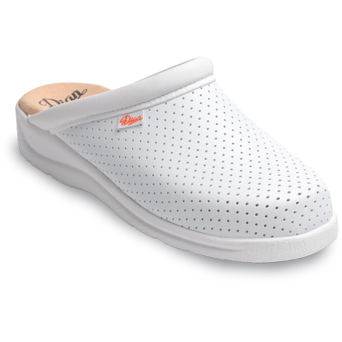 PISA OB SRC zamašitev